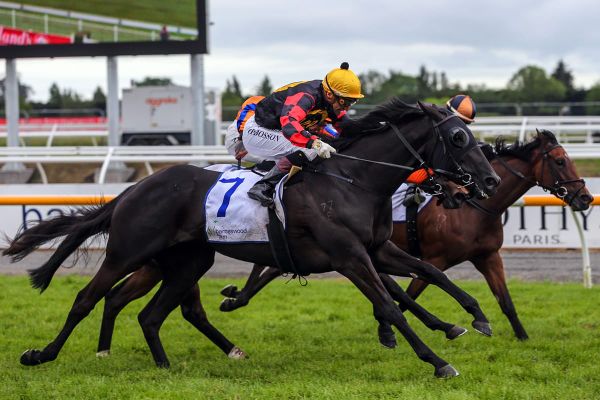 Richards reflects on next steps for his fabulous first four fillies