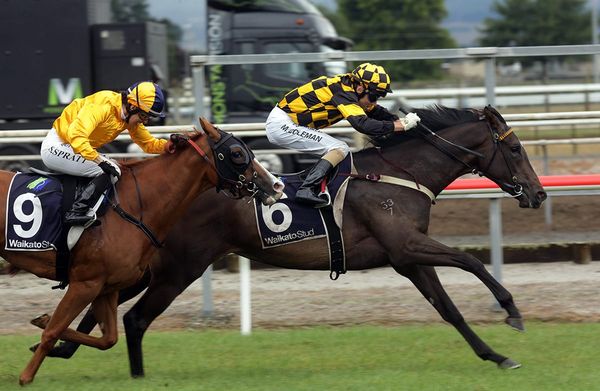 Vernazza set to make raceday return