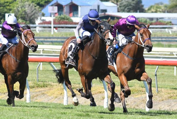 Turner building strong record