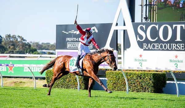 Williams to test Victorian waters