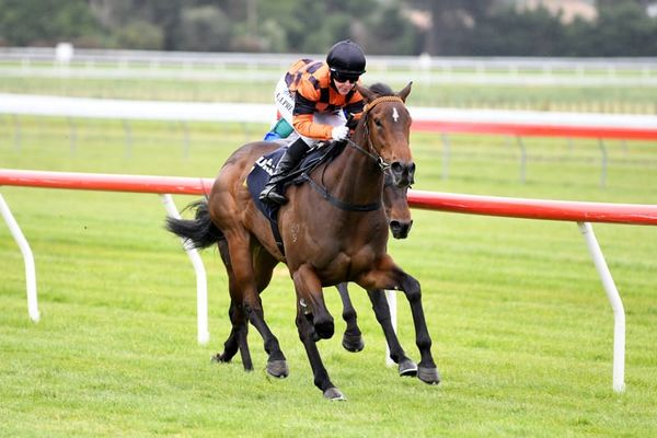 Deal sealed for Karaka Million contender