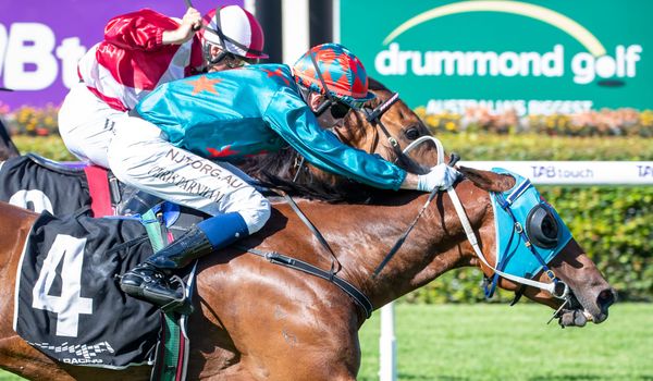 Angelic Miss conquers 1400m in Jungle Dawn