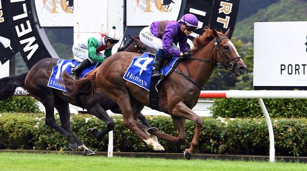 Latta holds strong-hand at Awapuni