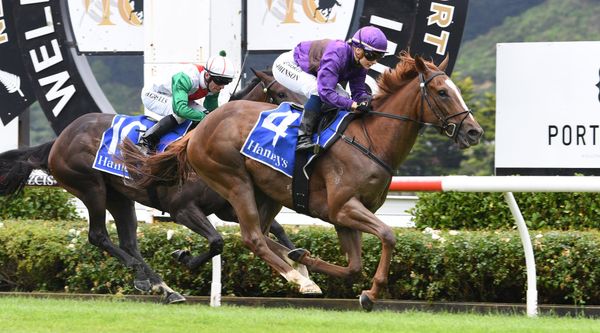 Belardo Boy only winner as Trentham abandoned