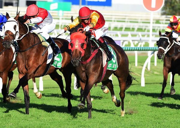 Charmmebaby in search of further black-type success