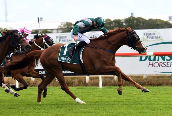 Maiden Group One in the offing for Cameron