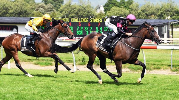 Coventina Bay set for Trentham carnival
