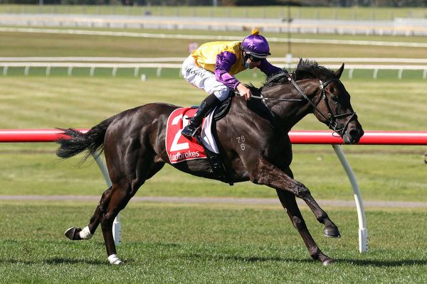 Elephant thriving after short spell