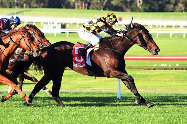 New Zealand option for Excelida