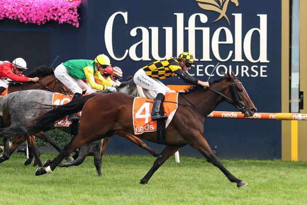 NZ Trip firms for Excelida