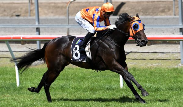 Richards quinellas own race