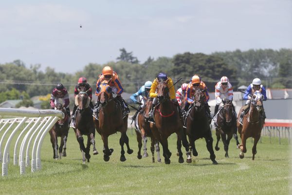 Fellini Karaka Million bound after maiden win