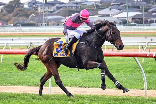 Farewell tour for Gold Medals