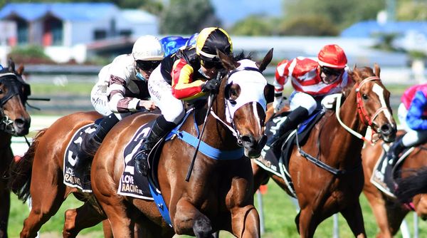 Didham in a quandary with House Of Cartier