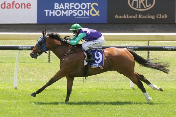 Tough, but talented Gal doing it her way