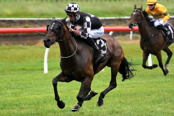 Sharrock gutted by Trentham abandonment