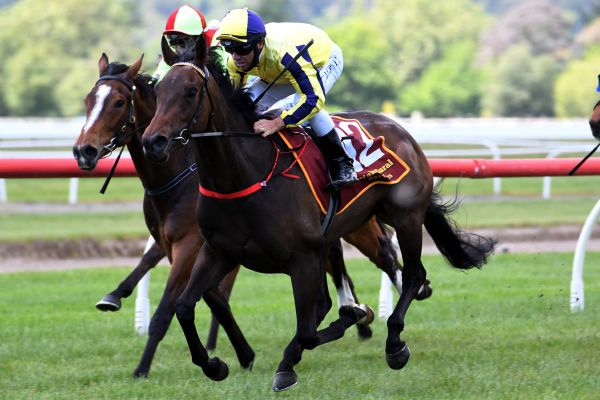 Wexford relying on youth to shine through