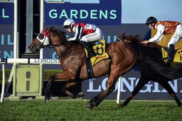 Kirwan’s Lane due change of luck