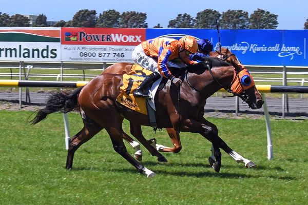 Karaka Million beckons Lord Cosmos