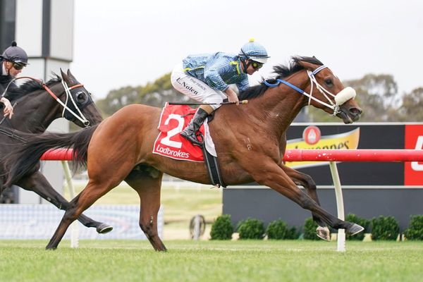 Lucky Decision breaks through