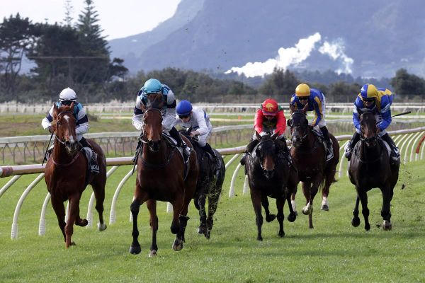Whangarei lose popular race meeting