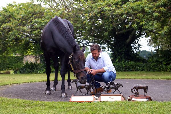 Waikato Stud named Breeder of the Year