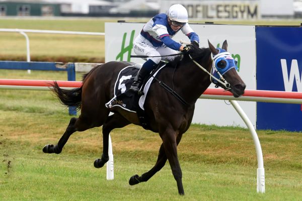 Promising filly breaks maiden status with Rotorua romp