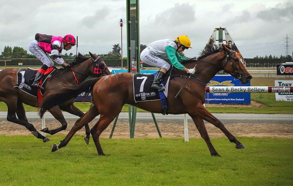 Humbucker humming ahead of Tapanui Cup