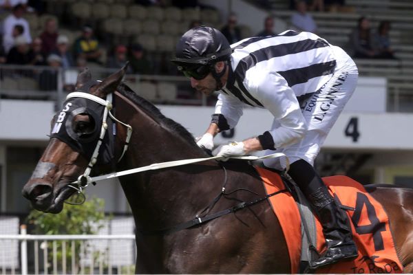 Marsh to have strong presence in Dunstan Stayers final