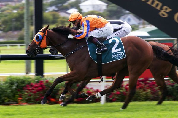 Prise De Fer prepares for Captain Cook offensive