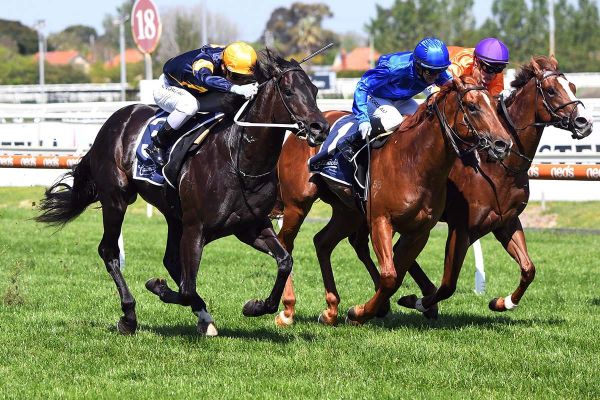 Flemington back-up for Ranting