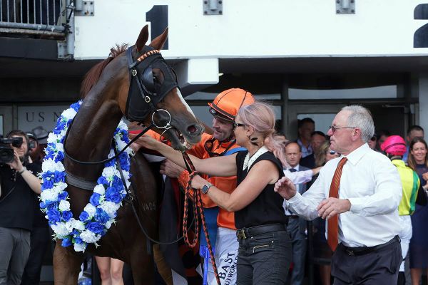 Royal Performer confirmed for rescheduled Captain Cook Stakes