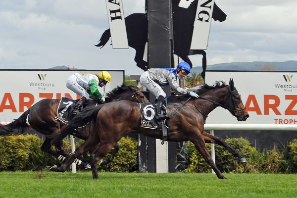 Sakura Blossom retired