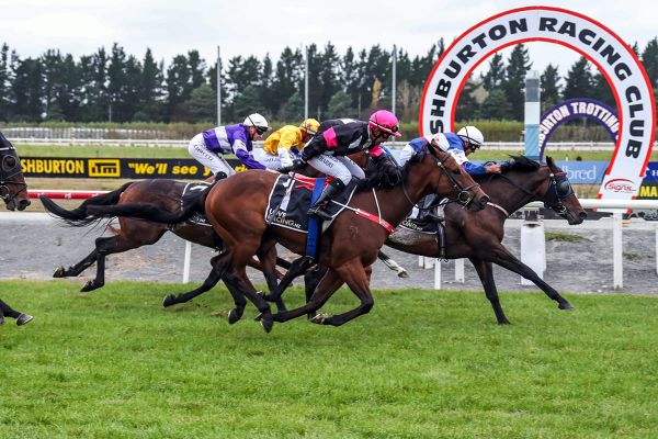 Ashburton meeting postponed