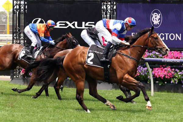 Squid Game on song for Flemington