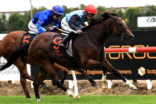 Talented Tevere back on favourite footing