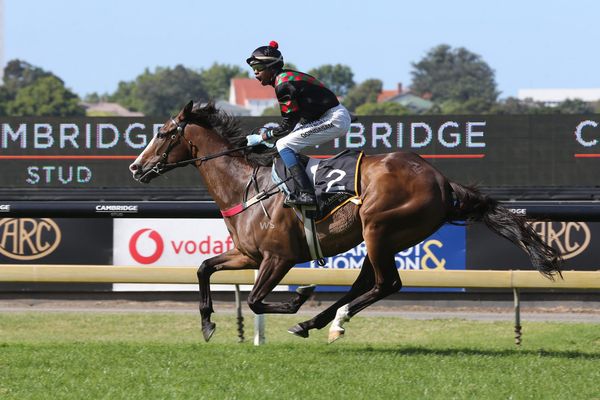 Goindasamy realises a childhood dream at Ellerslie