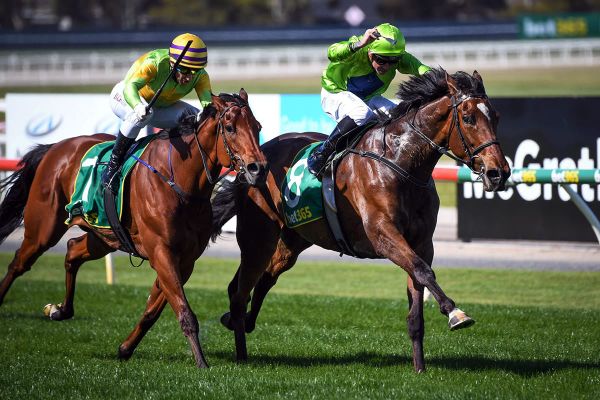 Tralee Rose making pleasing recovery