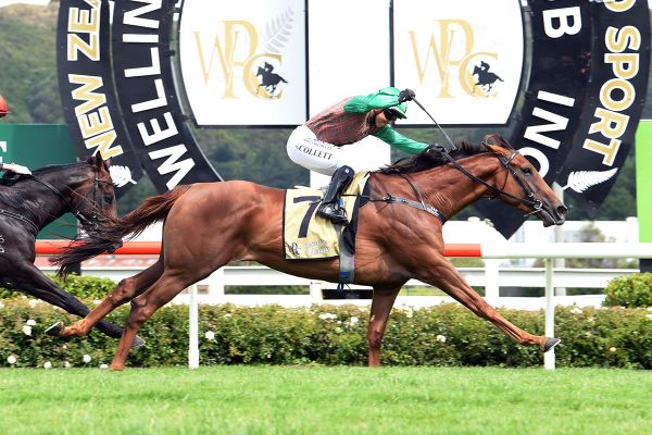 Foote vying for Group One trifecta