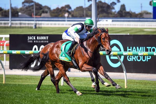 Tutukaka begins on Derby path in Auckland Guineas