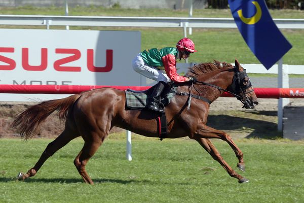 James and Wellwood to rely on girl power