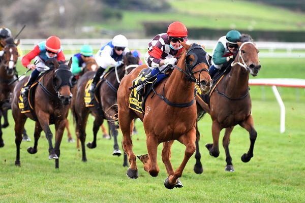 Buyers keeping close watch on promising 3YO