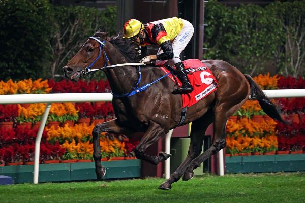 Zebrowski lands January Cup