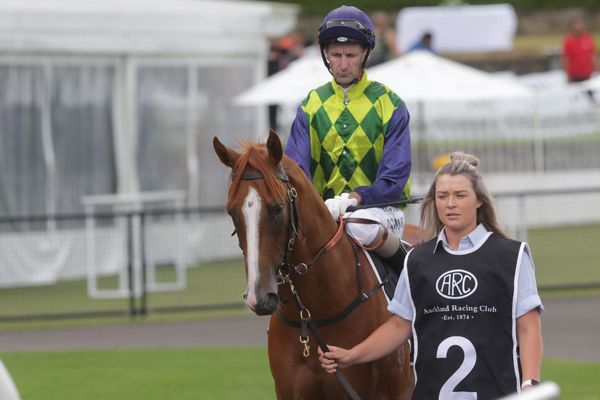 Autridge in search of more Karaka Gold