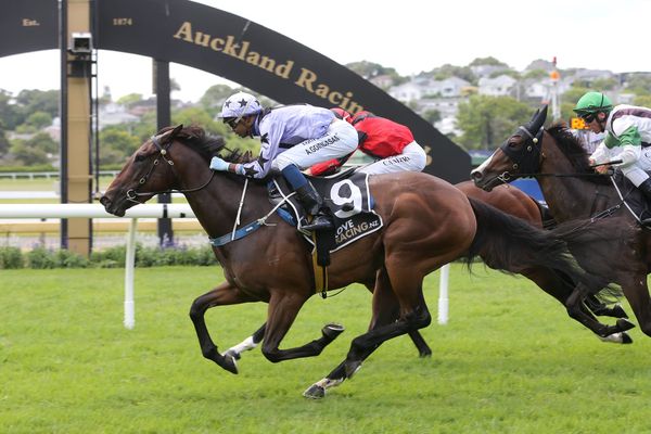 Clotworthys chasing Karaka riches