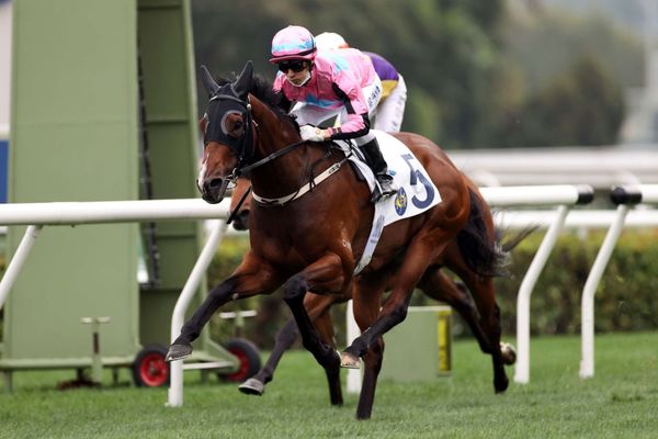 Beluga lands Sha Tin feature