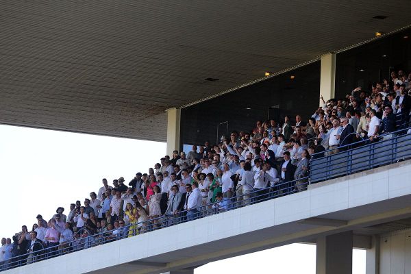 Boys Get Paid bring Karaka Million night to life