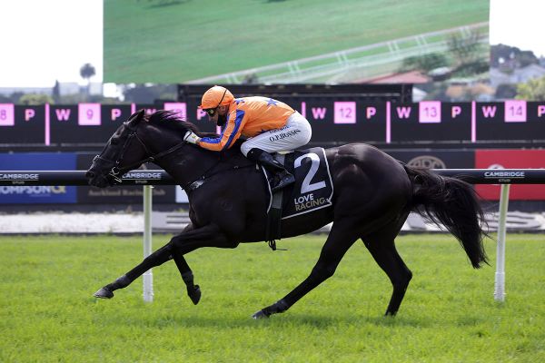 Gelded Brando back in business