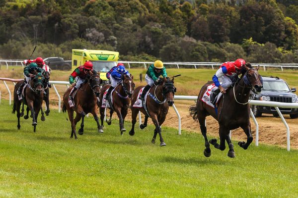 Camino Rocoso strikes gold at Kumara