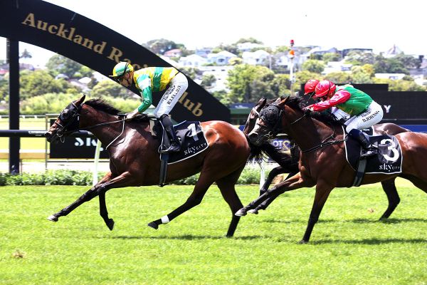 Trainers hoping good times continue to roll